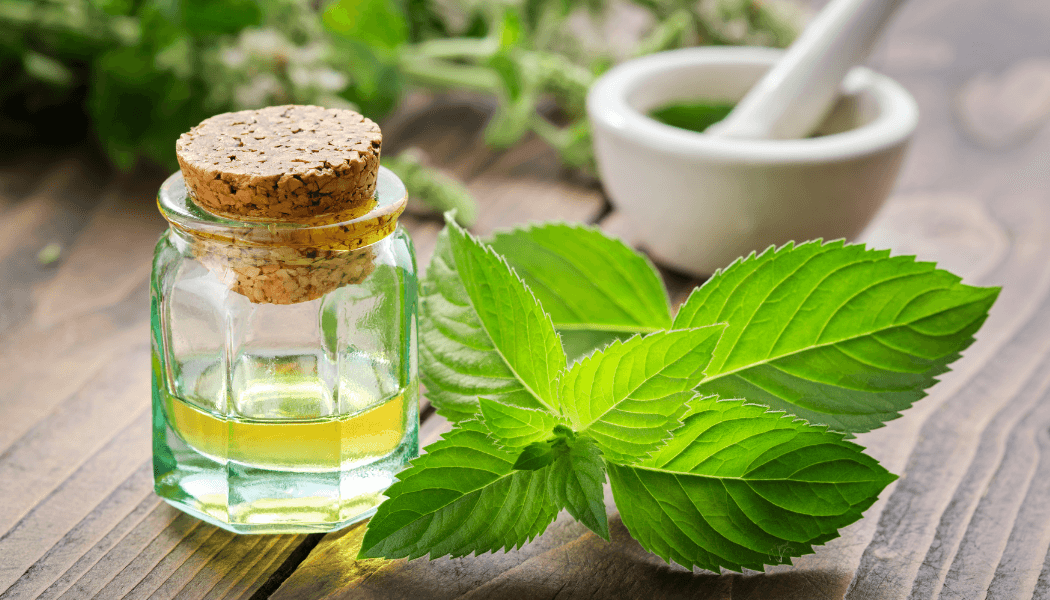 Les Bienfaits de la menthe poivrée